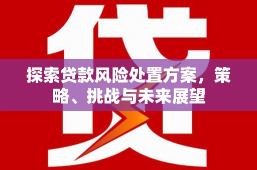金安探索贷款风险处置方案，策略、挑战与未来展望