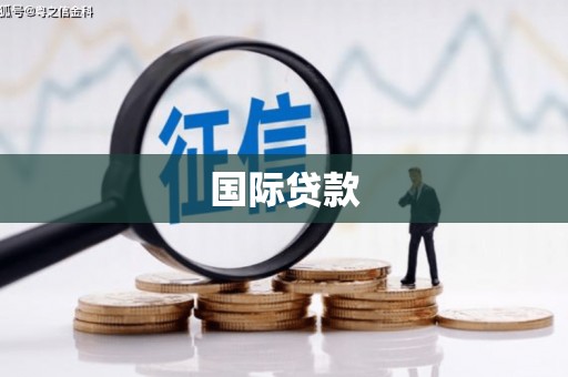 金安国际贷款