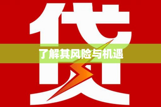 金安了解其风险与机遇