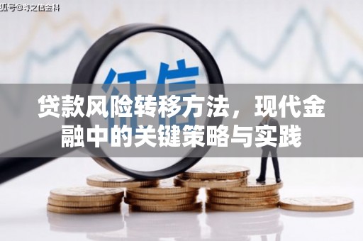 金安贷款风险转移方法，现代金融中的关键策略与实践