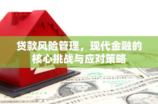 金安贷款风险管理，现代金融的核心挑战与应对策略