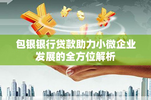 金安包银银行贷款助力小微企业发展的全方位解析
