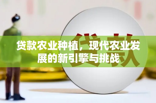 金安贷款农业种植，现代农业发展的新引擎与挑战