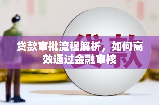 金安贷款审批流程解析，如何高效通过金融审核