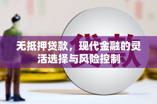 金安无抵押贷款，现代金融的灵活选择与风险控制