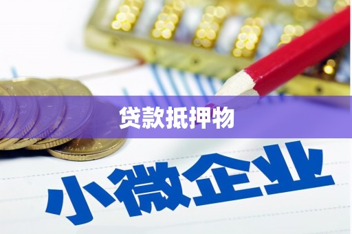 金安贷款抵押物