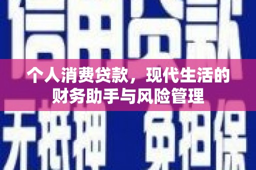 金安个人消费贷款，现代生活的财务助手与风险管理