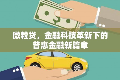 金安微粒贷，金融科技革新下的普惠金融新篇章