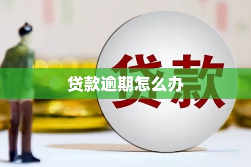 金安贷款逾期怎么办