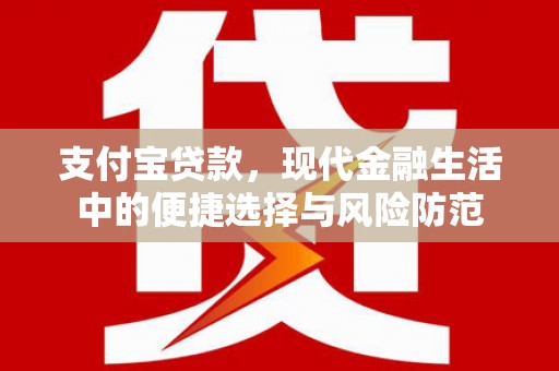 金安支付宝贷款，现代金融生活中的便捷选择与风险防范