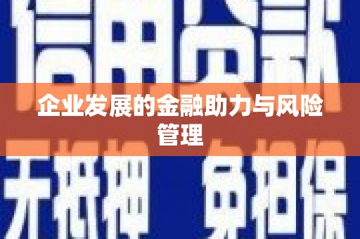 金安企业发展的金融助力与风险管理