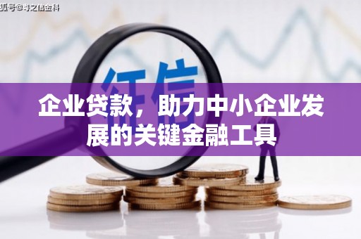 金安企业贷款，助力中小企业发展的关键金融工具