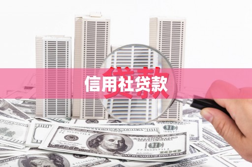 金安信用社贷款
