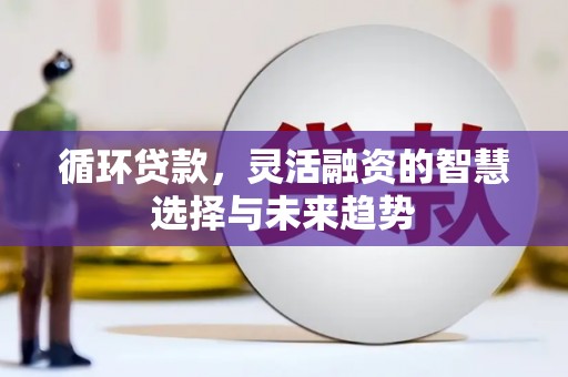 金安循环贷款，灵活融资的智慧选择与未来趋势