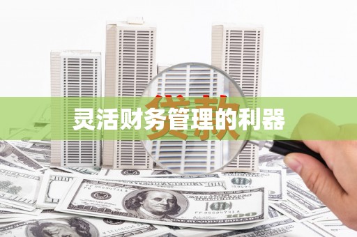 金安灵活财务管理的利器