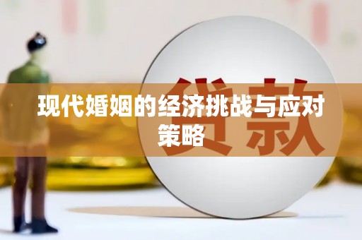 金安现代婚姻的经济挑战与应对策略