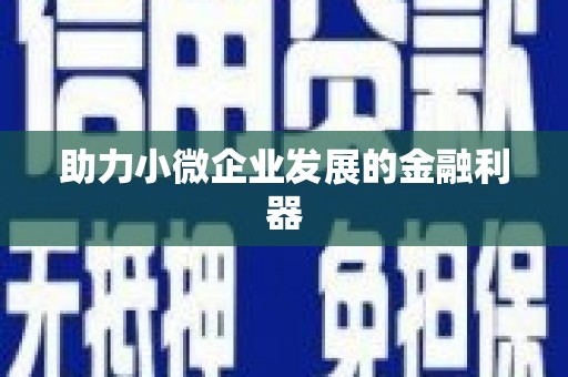 金安助力小微企业发展的金融利器