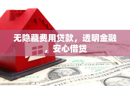 金安无隐藏费用贷款，透明金融，安心借贷