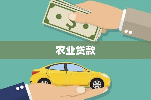 金安农业贷款