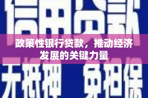 金安政策性银行贷款，推动经济发展的关键力量