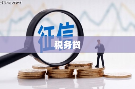 金安税务贷