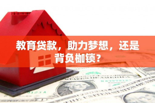 金安教育贷款，助力梦想，还是背负枷锁？