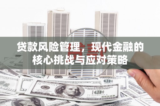 金安贷款风险管理，现代金融的核心挑战与应对策略