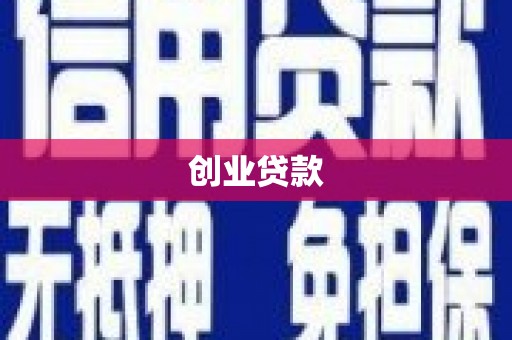 金安创业贷款