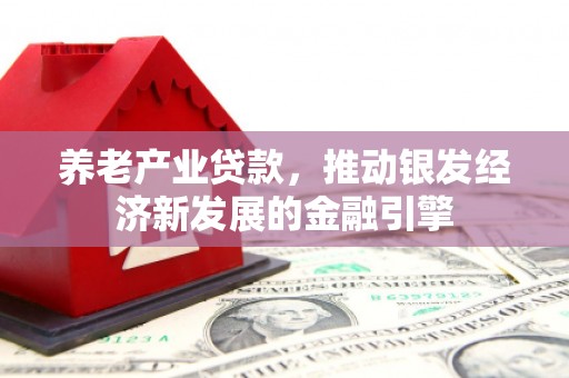 金安养老产业贷款，推动银发经济新发展的金融引擎