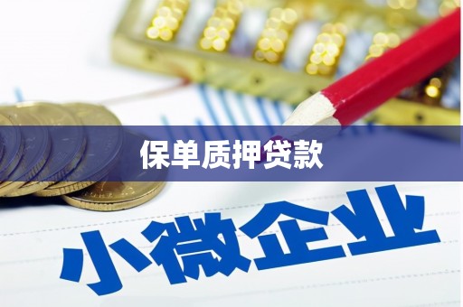 金安保单质押贷款
