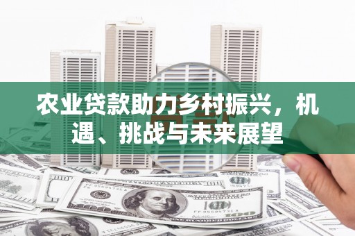 金安农业贷款助力乡村振兴，机遇、挑战与未来展望