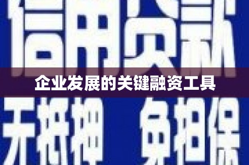 金安企业发展的关键融资工具