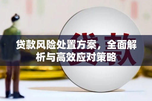 金安贷款风险处置方案，全面解析与高效应对策略