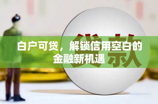 金安白户可贷，解锁信用空白的金融新机遇