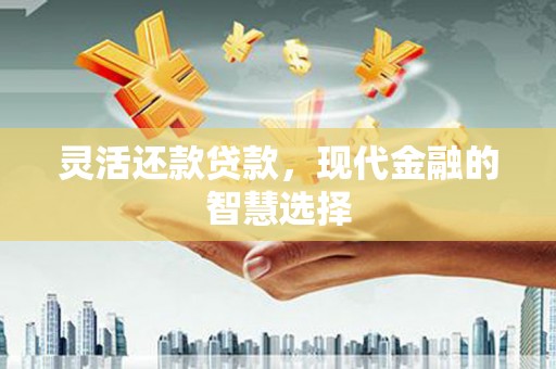 金安灵活还款贷款，现代金融的智慧选择
