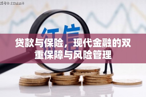 金安贷款与保险，现代金融的双重保障与风险管理