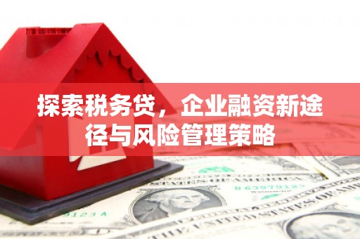 金安探索税务贷，企业融资新途径与风险管理策略