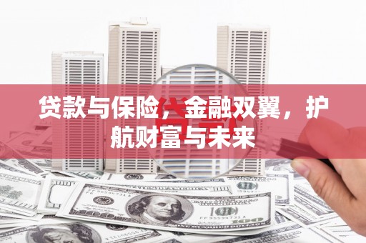 金安贷款与保险，金融双翼，护航财富与未来