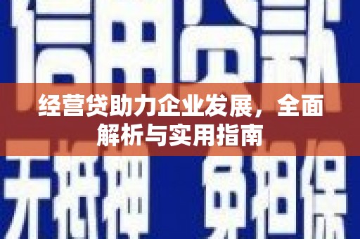 金安经营贷助力企业发展，全面解析与实用指南