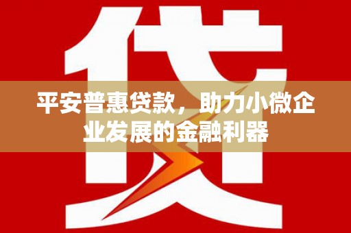 金安平安普惠贷款，助力小微企业发展的金融利器