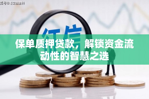 金安保单质押贷款，解锁资金流动性的智慧之选