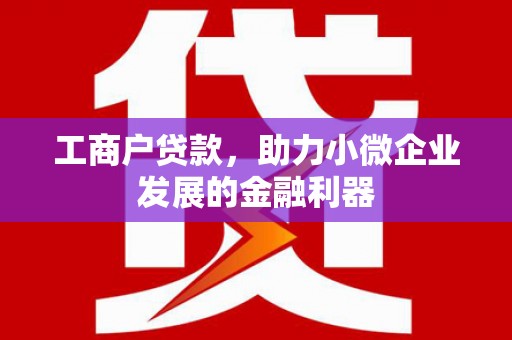 金安工商户贷款，助力小微企业发展的金融利器