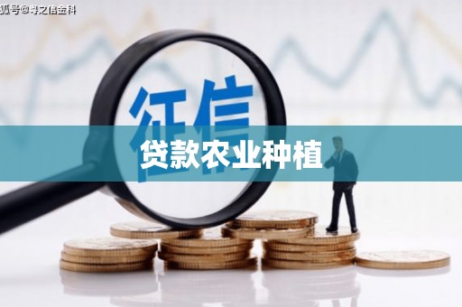 金安贷款农业种植