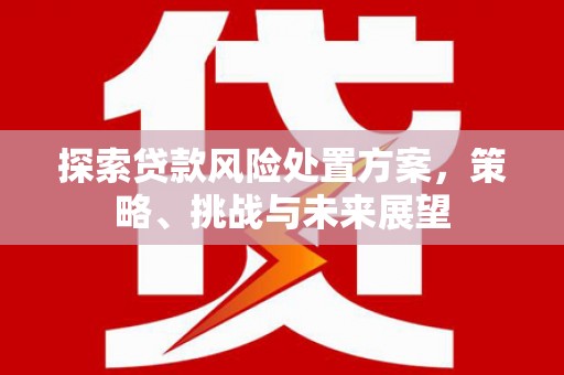 金安探索贷款风险处置方案，策略、挑战与未来展望