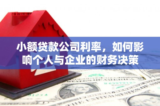金安小额贷款公司利率，如何影响个人与企业的财务决策