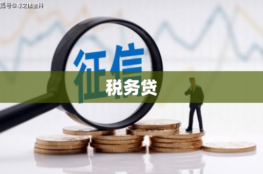 金安税务贷