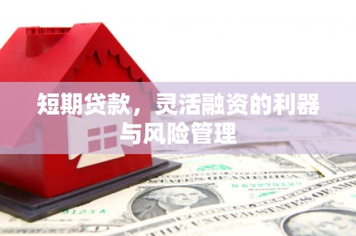 金安短期贷款，灵活融资的利器与风险管理