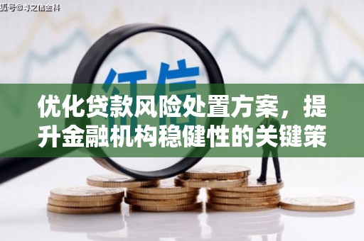 金安优化贷款风险处置方案，提升金融机构稳健性的关键策略