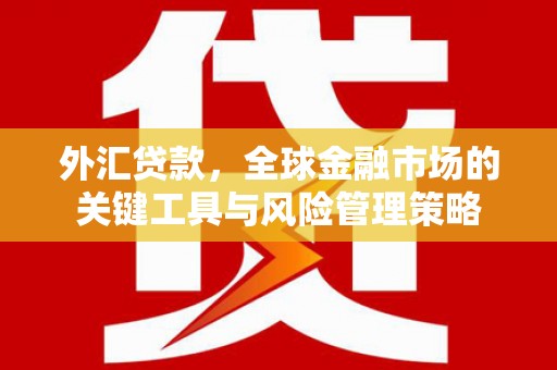 金安外汇贷款，全球金融市场的关键工具与风险管理策略