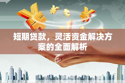 金安短期贷款，灵活资金解决方案的全面解析